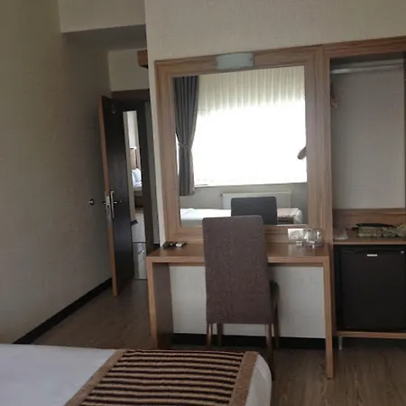 Hotel Buyuk