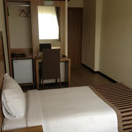 Hotel Buyuk