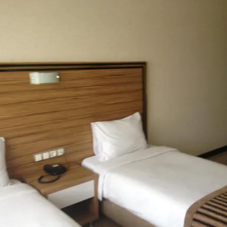 Hotel Buyuk