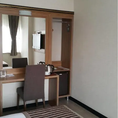 Hotel Buyuk 3*